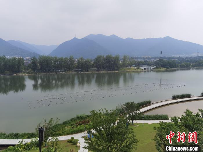 两岸媒体共探杭州亚运会“绿”在何处？
