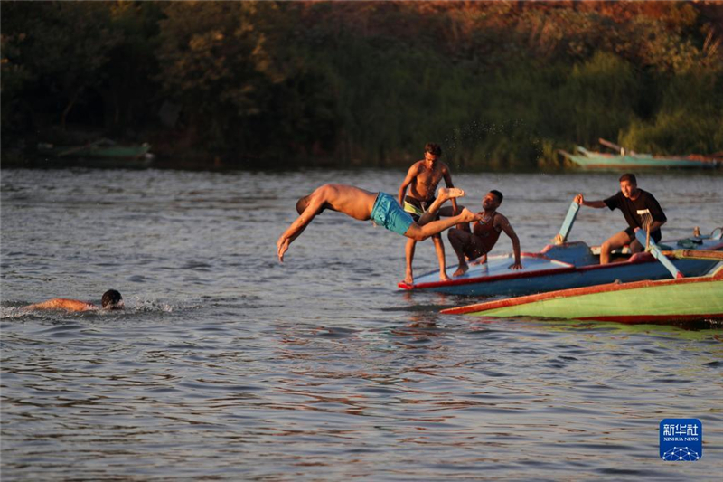 7月8日，在埃及盖卢比尤省，人们在尼罗河里戏水避暑。新华社发（艾哈迈德·戈马摄）