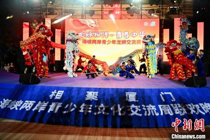 联欢晚会上，两岸青少年同台呈现龙狮表演。　王东明 摄