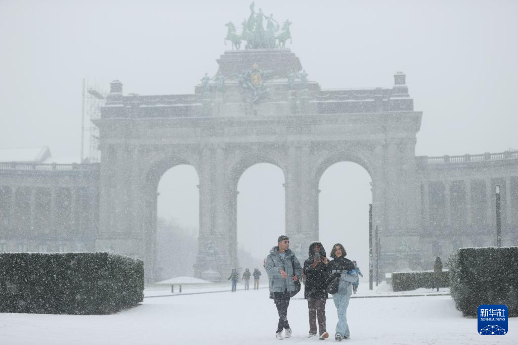 1月17日，在比利时布鲁塞尔，人们冒雪在五十年宫公园游玩。新华社记者 赵丁喆 摄