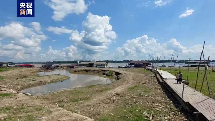 受旱情及火灾影响 巴西亚马孙州多地进入紧急状态