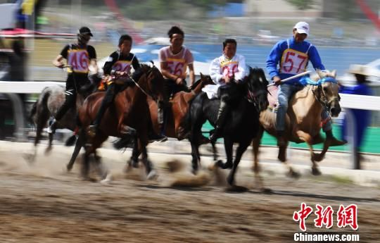 此次节会集中展现了蒙古族草原文化魅力，上演别具一格的视觉盛宴。图为赛马。　杨艳敏 摄