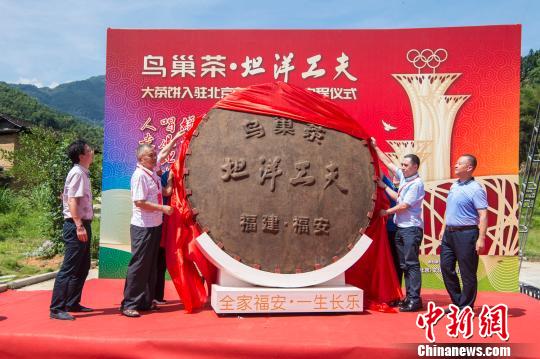 国内最大红茶饼亮相福建福安 将入驻北京奥林匹克塔