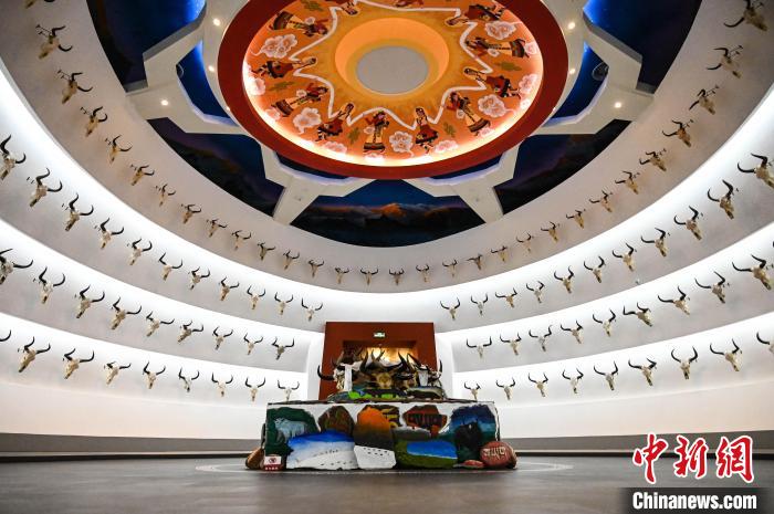 西藏牦牛博物馆举行综合文化活动迎国际博物馆日