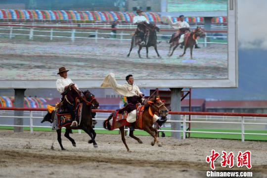 策马奔腾西藏当雄赛马节“开跑”