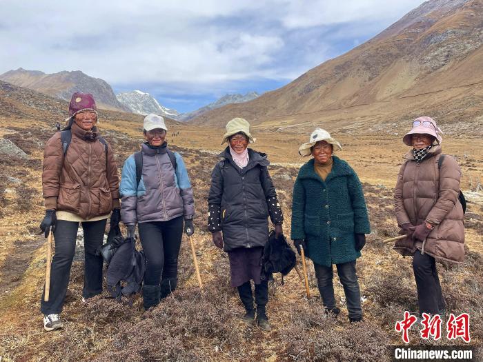 藏族阿佳们涂上自制防晒“面膜”上山找虫草。　冉文娟 摄