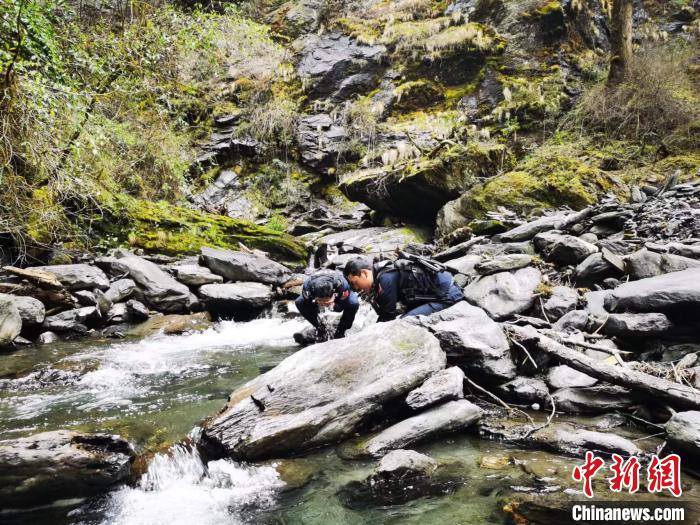 西藏玉麦：移民管理警察镌刻在边境巡逻路上的忠诚