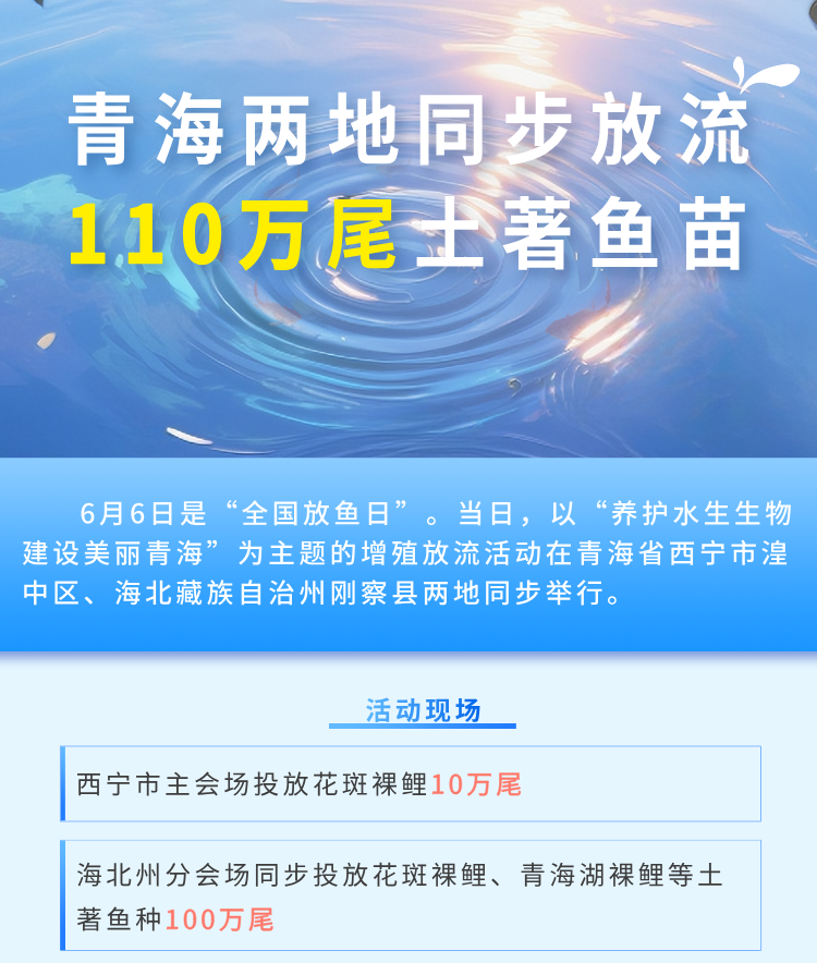 W020260611514160815174.png