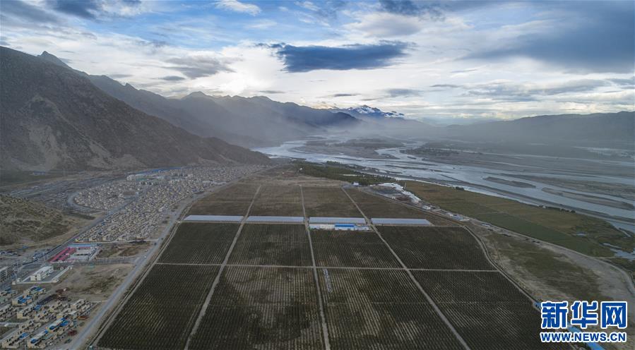 （社会）（3）西藏山南：生态搬迁点迎来苹果丰收