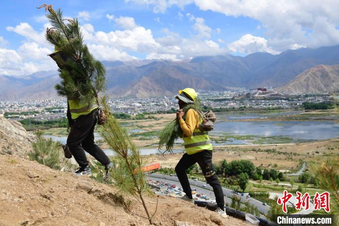 “我在西藏有棵树”公益活动面向社会发起