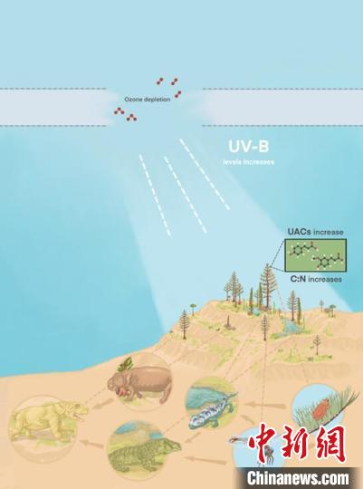 臭氧层破坏引起的紫外线辐射增加对陆地食物链的影响。　南古所 供图