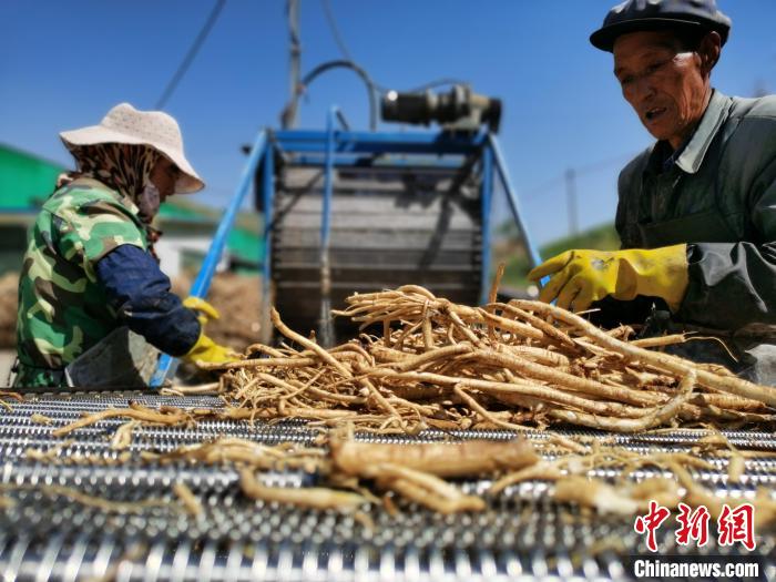 青海首部藏医医疗机构中（藏）药临床应用技术指南发布