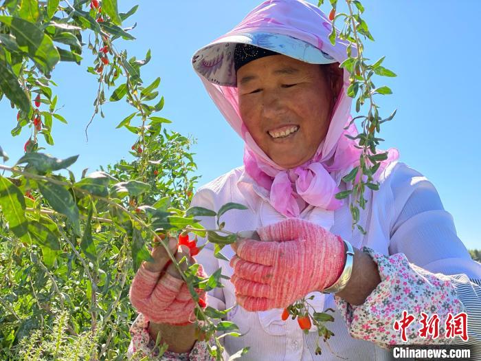 青海：现代农业产业园带动20余万农牧民增收