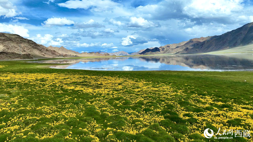 西藏阿里地区日土县芦布措湖。人民网记者 次仁罗布摄