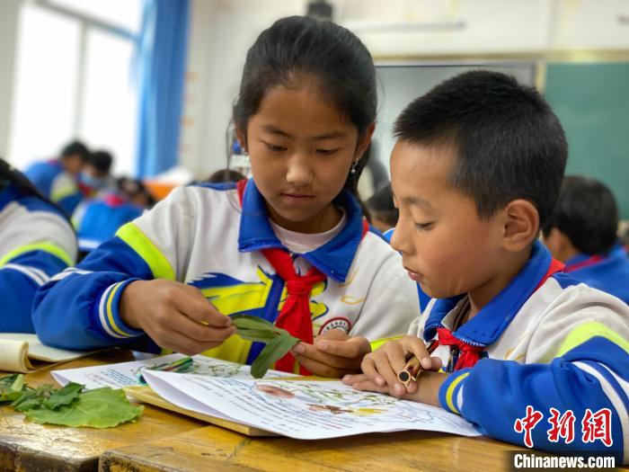 青海：2025年将实现每县一所自然教育学校