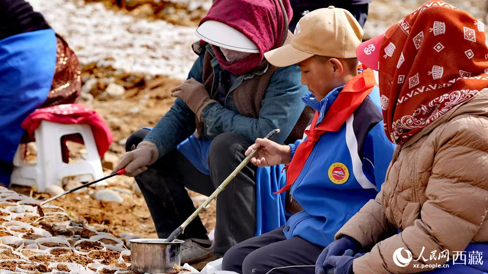 西藏定日：思政课“搬”进育苗基地