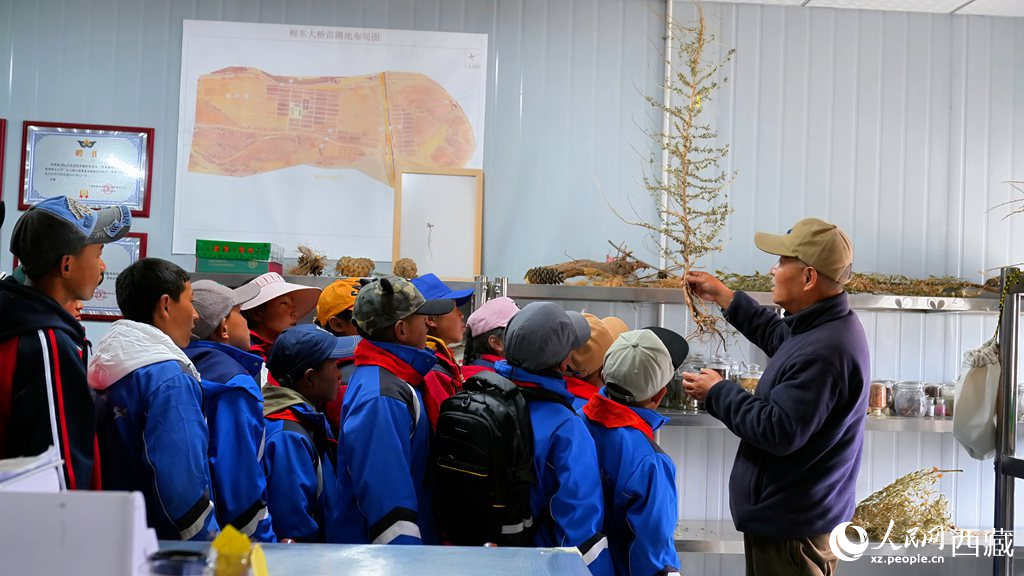 西藏定日：思政课“搬”进育苗基地【3】