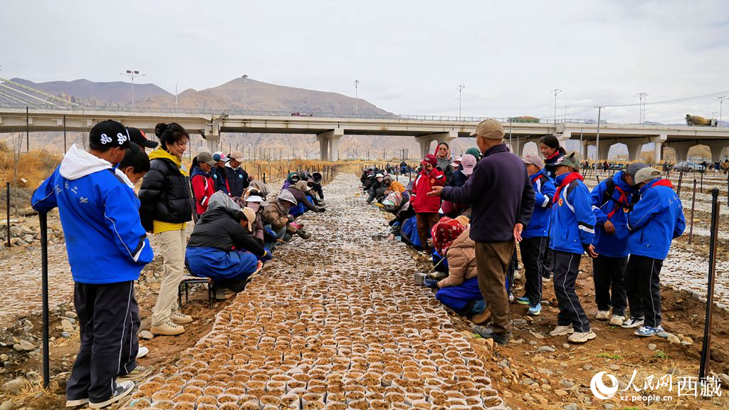 西藏定日：思政课“搬”进育苗基地【4】