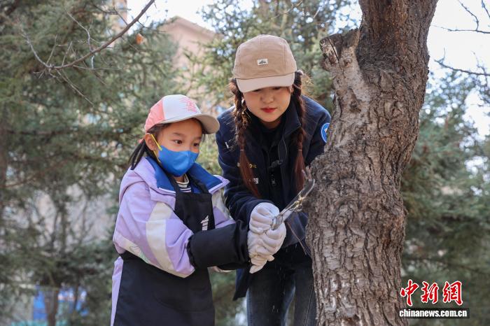 青海西宁：青少年参与植树节研学实践活动