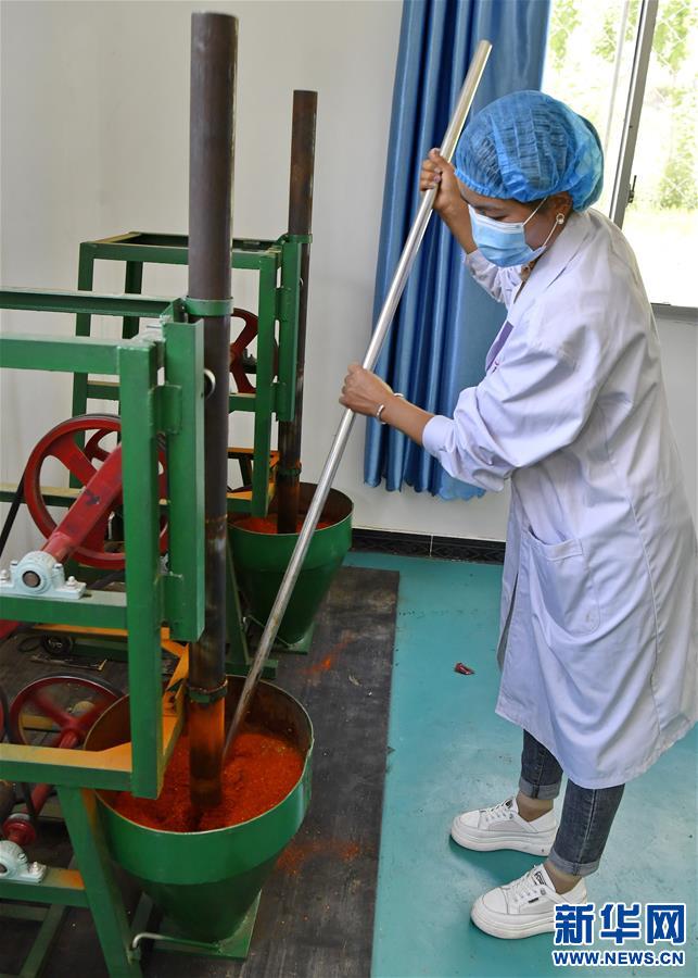 （走向我们的小康生活）（2）西藏朗县：发展辣椒产业 助力脱贫攻坚