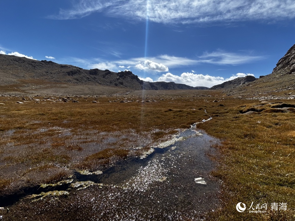 祁连山国家公园雪山牧场管护站附近的湿地。人民网 陈明菊摄