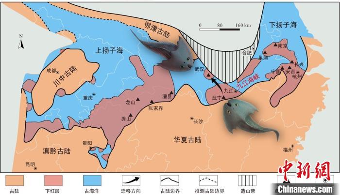 华南地区志留纪早期古地理图和盔甲鱼类化石产地(山显任改自陈旭、戎嘉余，1996；戎嘉余等，2012) 中科院古脊椎所 供图