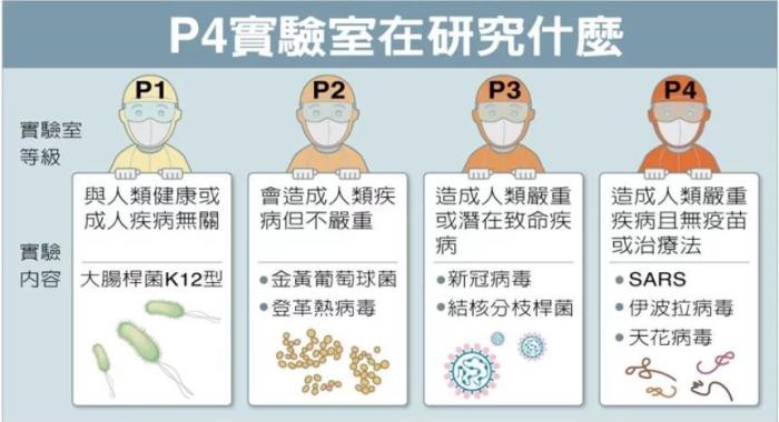 P4实验室在研究什么。台湾联合新闻网资料图