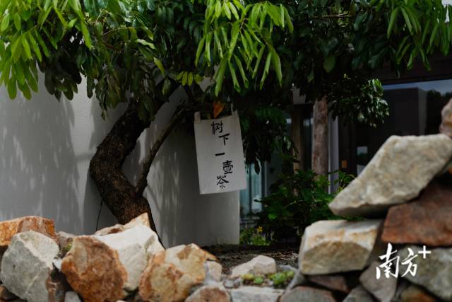 崖口村内的文艺民宿。