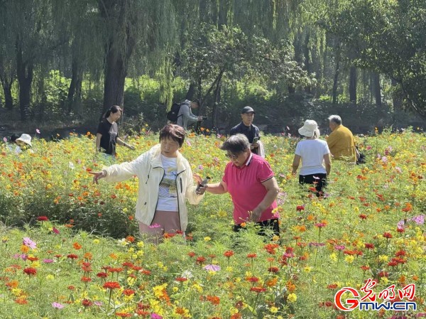 何以中国·理想都城|数字化技术再现圆明园昔日辉煌盛景