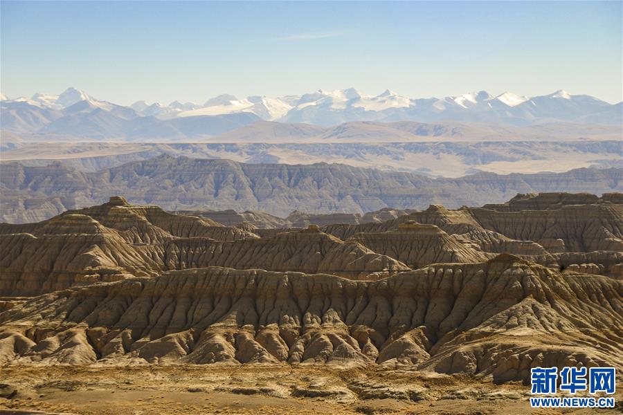 （新华视界）（2）西藏札达土林：壮美的“土世界”