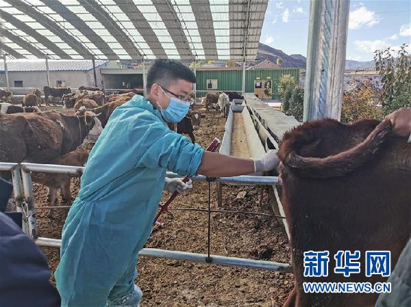 (决战决胜脱贫攻坚·图文互动)(2)脱贫“不暂停” 服务“不打烊”——天津通过“云端”帮扶为甘肃受援地区战贫继续助力