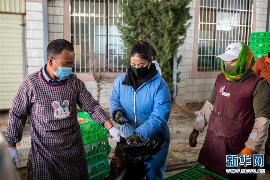 （脱贫攻坚）（6）云南迪庆藏区：打好防疫脱贫两场战役