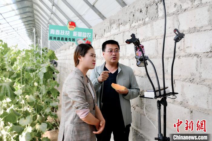 甘肃戈壁蜜瓜“直播”助农“内育外引”持久扶贫消费