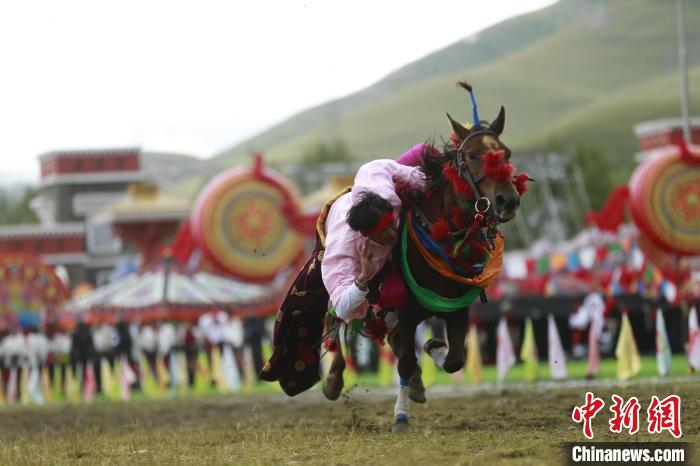 青海玉树：70年，幸福生活如格桑花绽放