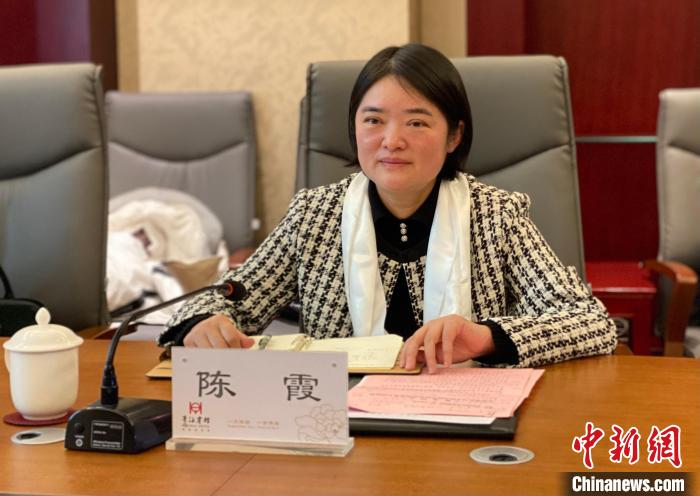 图为建湖县委副书记、代县长陈霞在签约仪式上讲话。 李江宁 摄