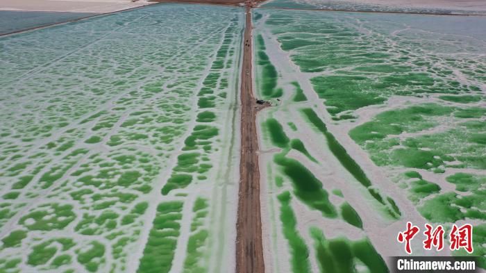 青海海西:2022年实现旅游收入40亿元