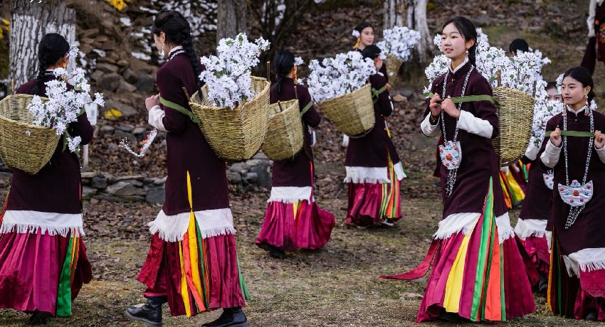 2024美人谷·丹巴梨花春赏季活动现场。何曦摄