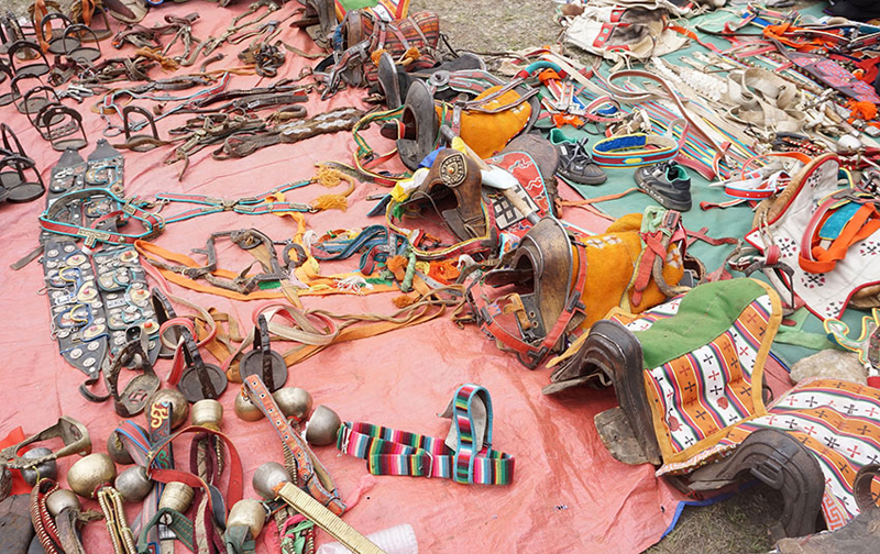 马具展示。章红梅摄