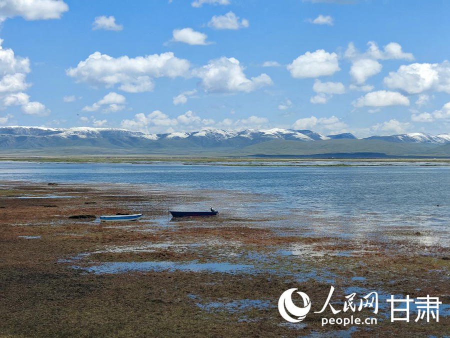 夏日的尕海湖风情万种。人民日报记者 银燕摄