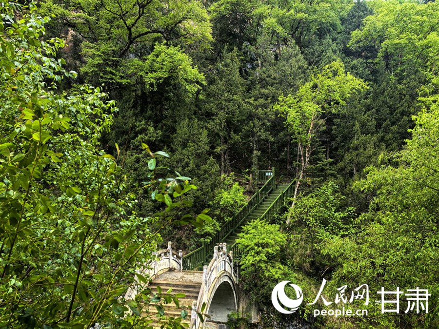 大峪沟景区内的观景栈道。人民网记者 周婉婷摄