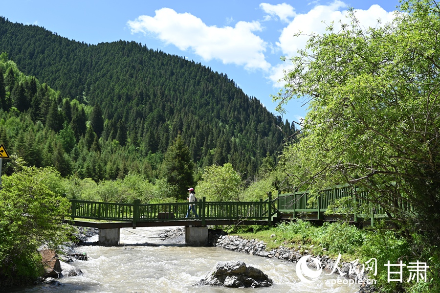 卓尼大峪沟：山雄石奇 水丽林秀【6】