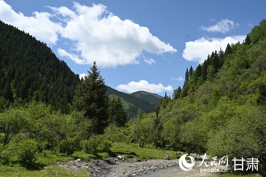 卓尼大峪沟：山雄石奇 水丽林秀【7】