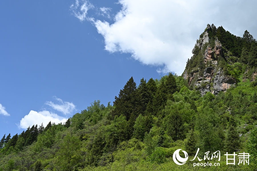 卓尼大峪沟：山雄石奇 水丽林秀【8】