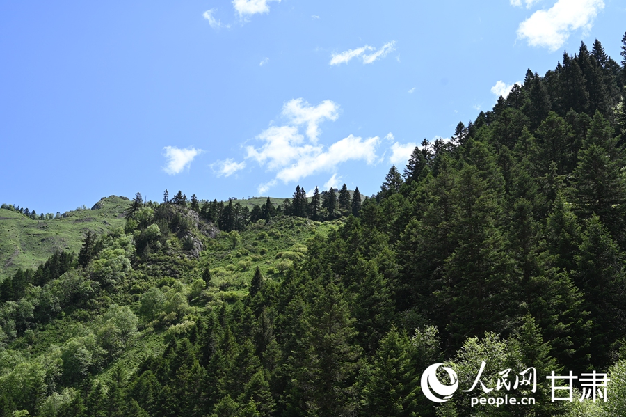 卓尼大峪沟：山雄石奇 水丽林秀【9】