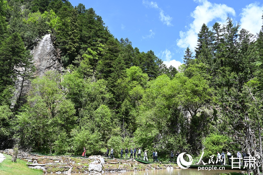 卓尼大峪沟：山雄石奇 水丽林秀【10】