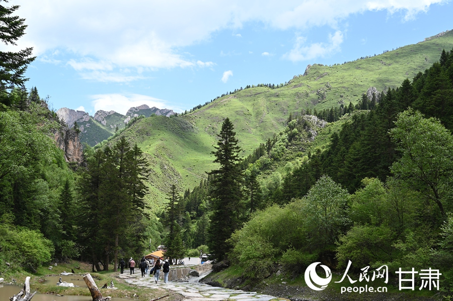 卓尼大峪沟：山雄石奇 水丽林秀【11】