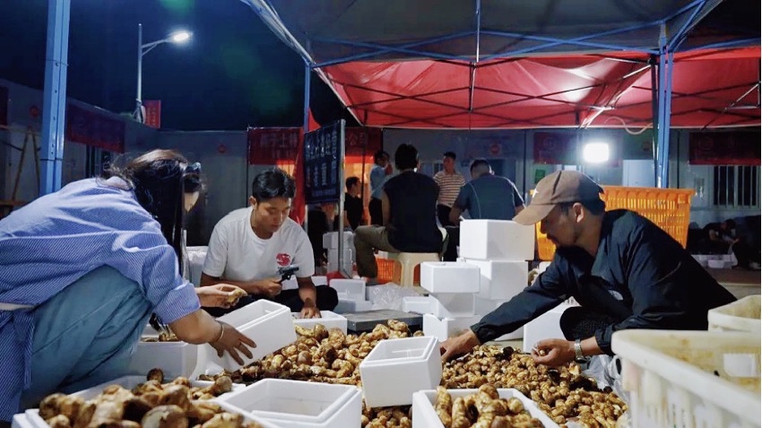 直播现场。雅江外宣供图