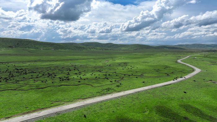 DJI_20260714165524_0470_D