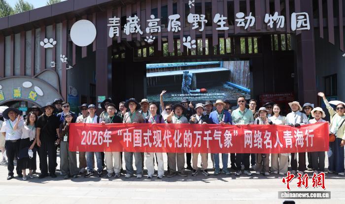 网络名人青海探寻高原野生动物保护