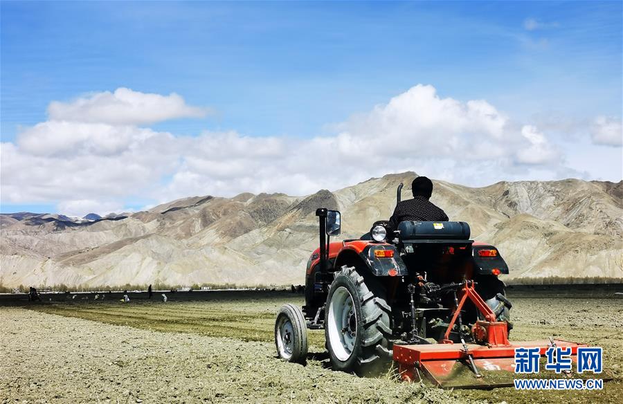 （经济）（4）西藏日喀则：农民春耕忙